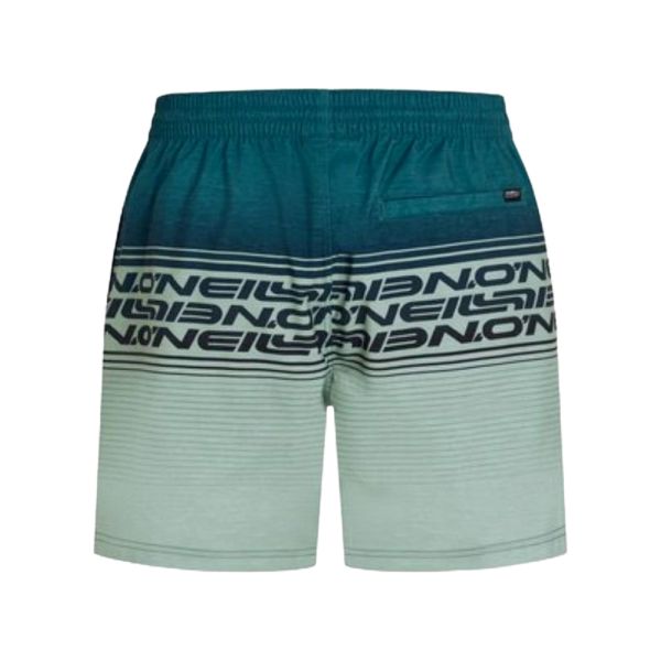 O'neill O'NEILL LOGO STRIPE 16''