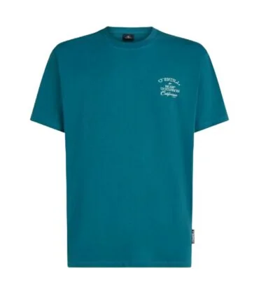 O'neill O'NEILL BEACH CHEST PRINT