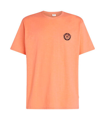 O'neill O'NEILL SLUB BACK PRINT