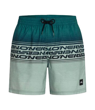O'neill O'NEILL LOGO STRIPE 16''